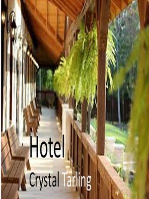 cover image of Hotel